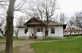 Casa memoriala a familiei Eminovici, foto 2011